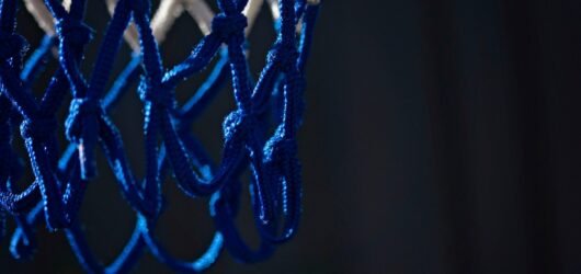 FIBA lanza el Kit de Herramientas de Protección y el Curso de Excelencia en Protección